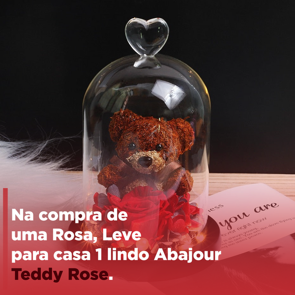 Rosa Brilhante Encantada: O Presente Perfeito Para o Natal ™ Na compra de 1 Rosa, Leve Um Teddy Rose