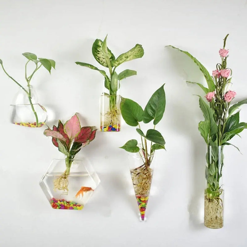 Decorações para casa Plantas hidropônicas